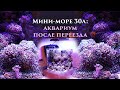 Море 30л: аквариум после переезда на новое место!