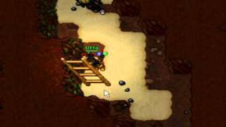 Tibia Desert Quest