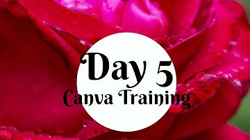 Day 5  Canva Training Video - Frames, Grids, Overlay, Resize