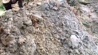 Bulk Sampling