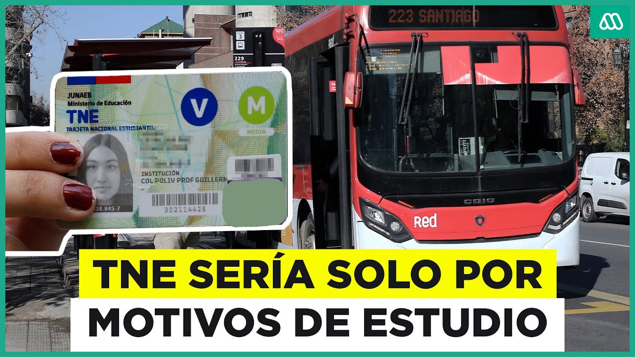 Contraloría confirma que TNE sería solo para fines educativos