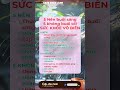 Hành trình chữa lành tâm hồn qua từng tách cafe: Công thức thành công bất ngờ