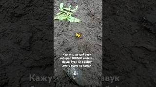 Думаю навіть 10 не буде… #тренд #юмор #прикол #тренды