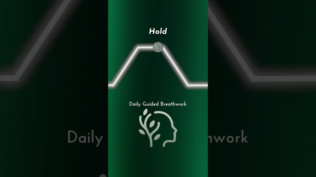 Box Breathing for Calm | Inhale 4, Hold 4, Exhale 4, Hold 4