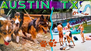 Places to go with your Dog in Austin, Texas.