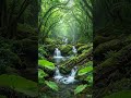 Peaceful Forest Stream at Night | Relaxing Water Sounds for Deep Calm 🌙💧