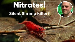 Red Cherry Shrimp and Nitrates: Best Practices for a Thriving Shrimp Colony 🦐