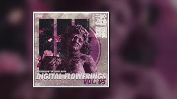 Nascar Aloe - Pissed Off