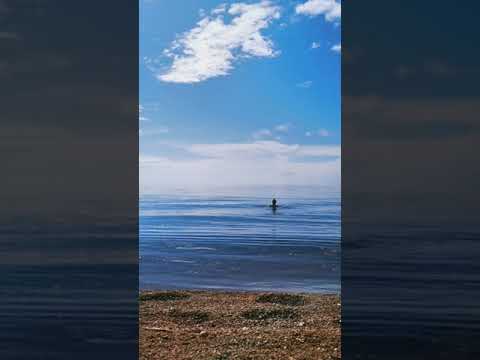 Купание в Байкале. Температура воздуха +13