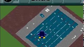 Pilotwings (SNES) - Penguin dive bonus stage 2 screenshot 4