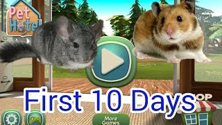 Pet Hotel My animal boarding | First 10 Days | Gameplay screenshot 5