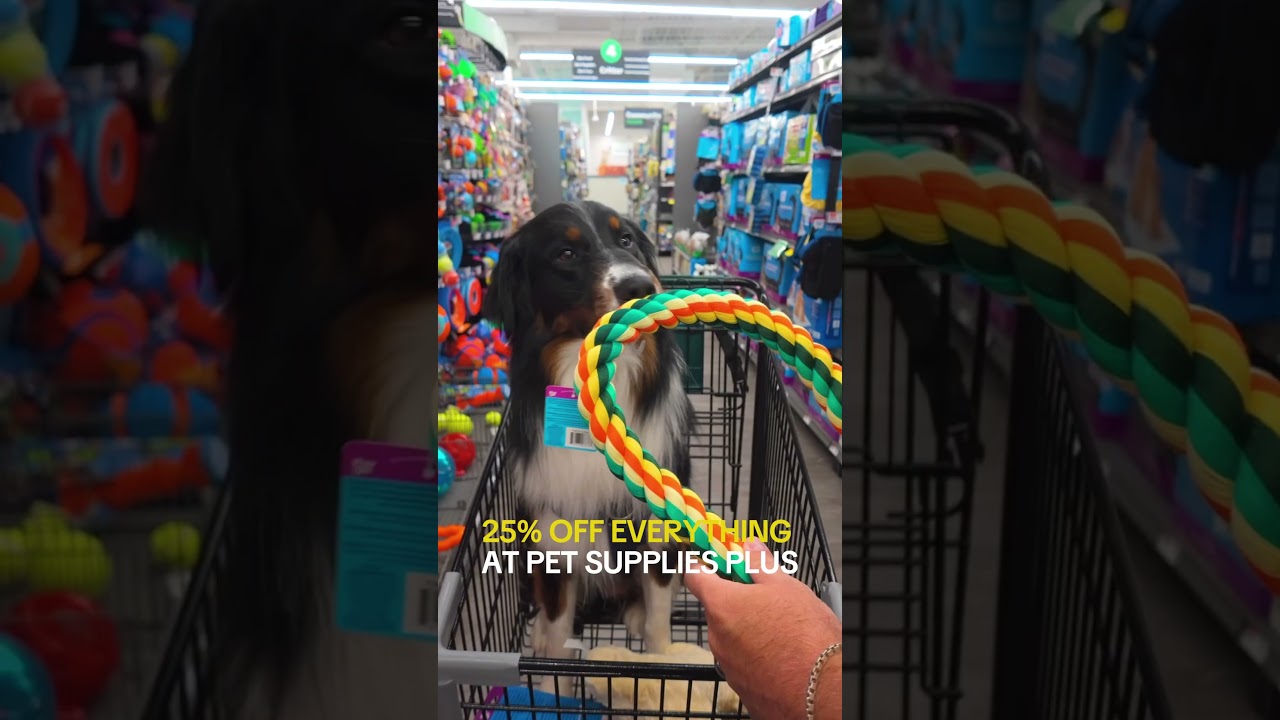 25% Off at Pet Supplies Plus