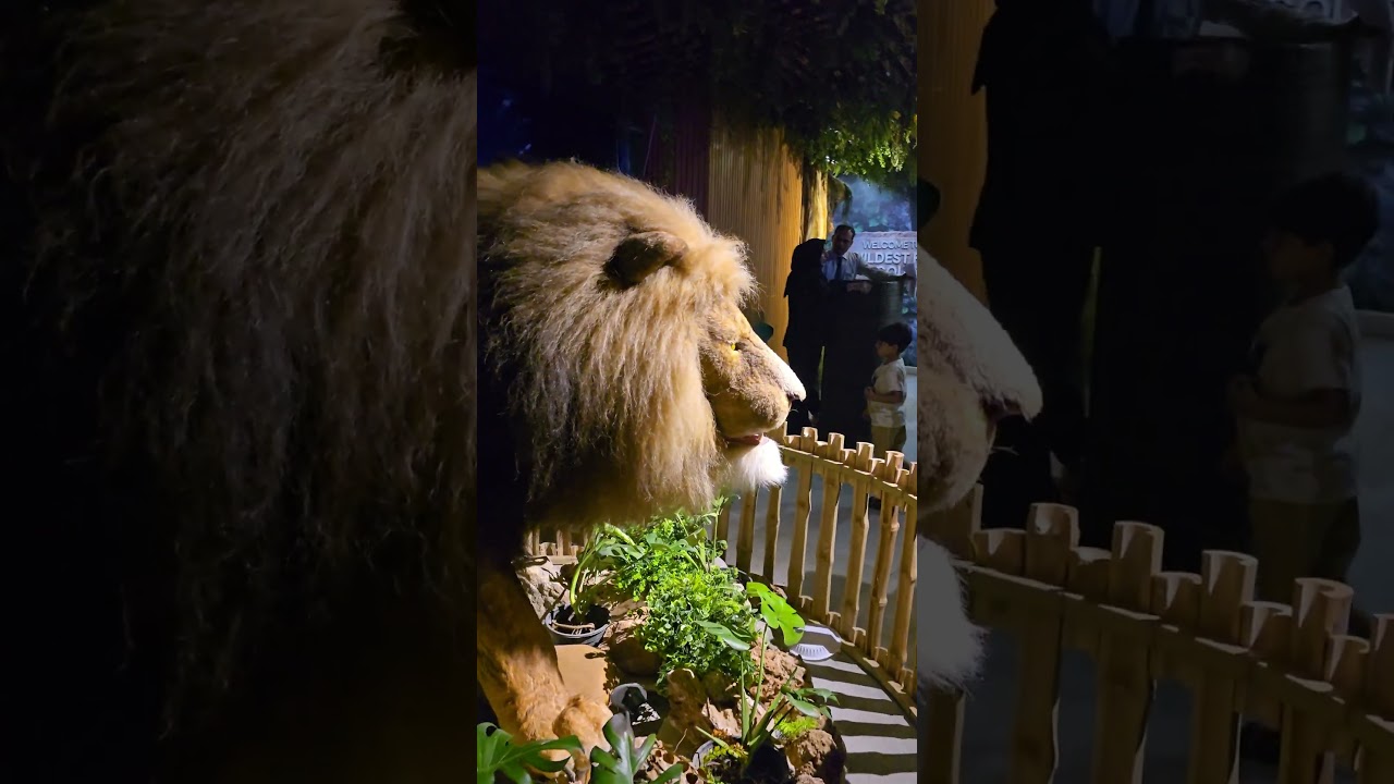 A Roaring Lion in the Mall?! Watch full walking tour of Amazon Mall food court on this channel!