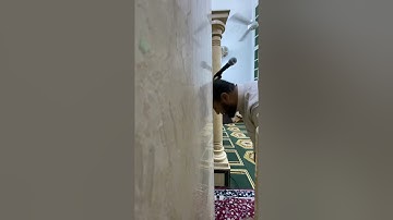 تلاوه مرتله من صلاة التراويح للقارئ عمرو العربي ماتيسر من سورة القصص