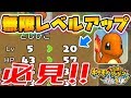 【ポケダンDX】体験版を永遠に遊ぶ裏技を発見！？これで無限にレベル上げができます。
