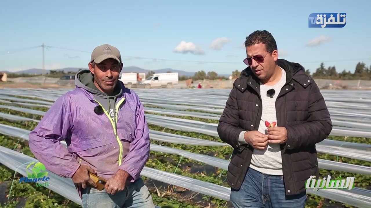 الحلقة 15 السانية essenia | الجزء 2