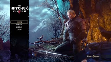 The Witcher 3: Wild Hunt        just me messing around