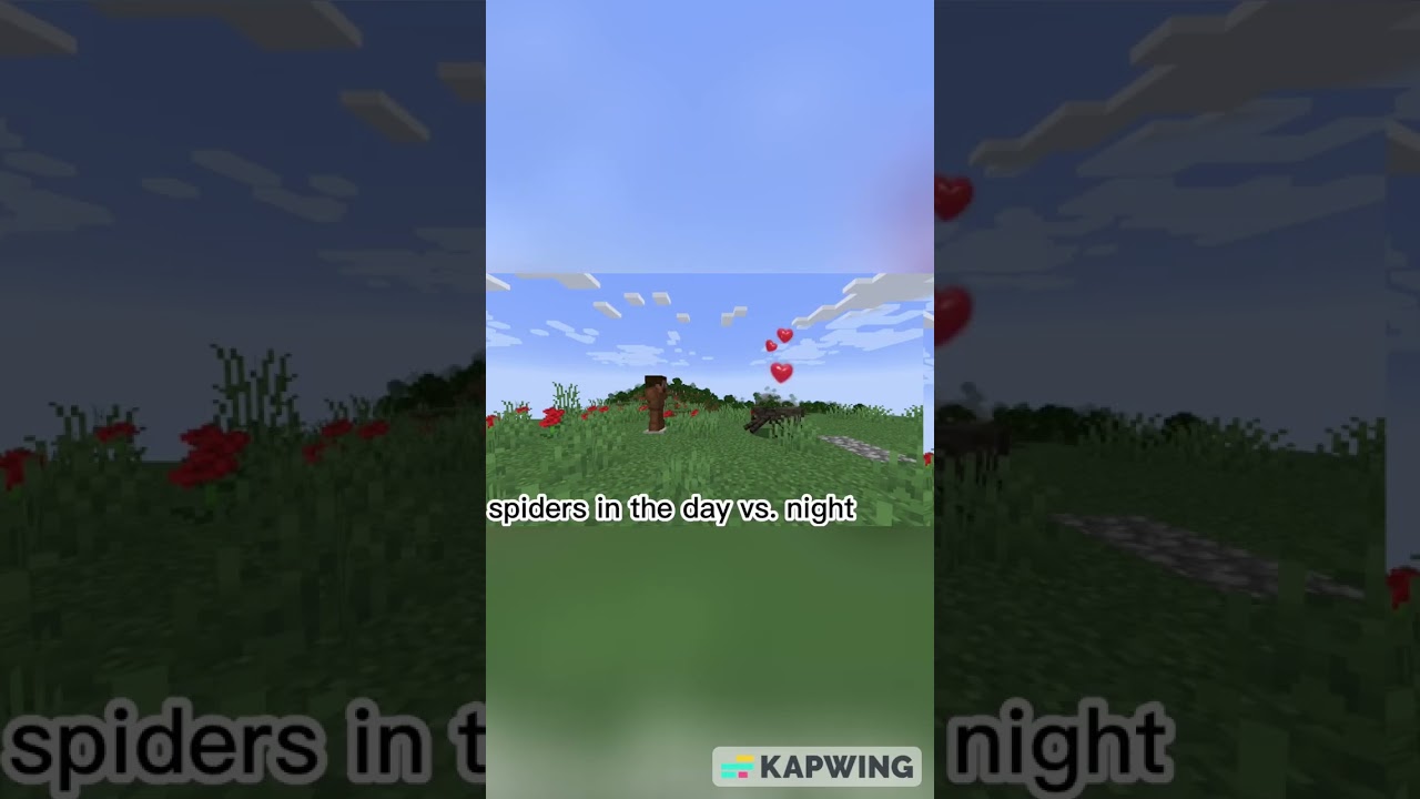 Spiders in the day Vs. night