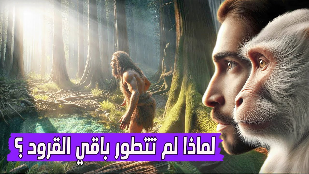 YouTube youtube