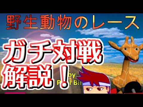 バーチャルいいゲーマー 実戦 野生動物のレース Wild Animal Racing 編 Youtube バーチャルいいゲーマー 実戦 野生動物のレース Wild Animal Racing 編 Youtube