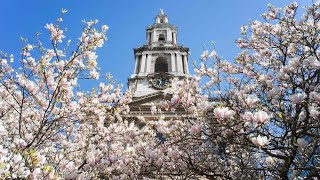 Choral Evensong for 14th June 2026 - Second Sunday after Trinity