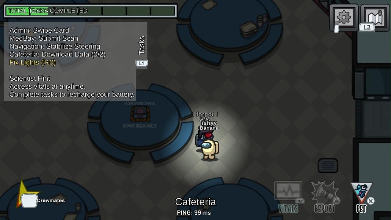 Among Us (I got imp)