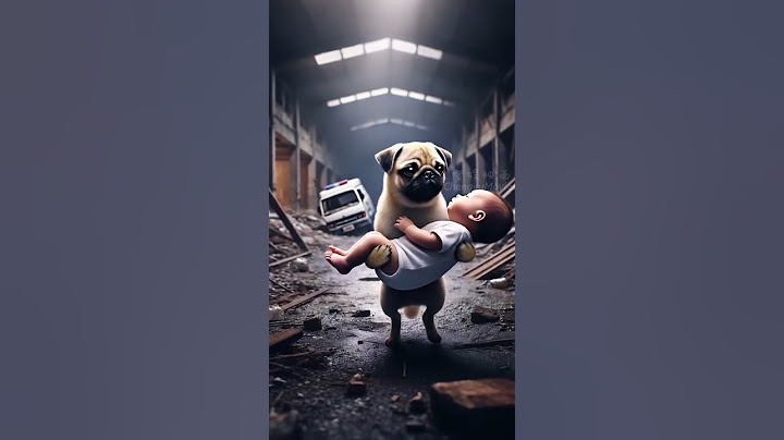 Não sabe esconder Comida 2 #funny #goodthing #cute #animals #baby #animation #newgadgets #comedy