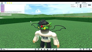 (How To) Use Admin Commands | Theme Park Tycoon 2