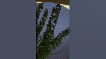 الفاتحة وجزء من سورة يوسف