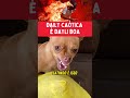 Qual foi a melhor resenha que rolou na daily?