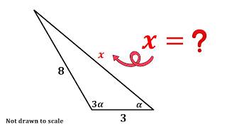 Two Different Solutions with Same Answer | Solve without AI #maths