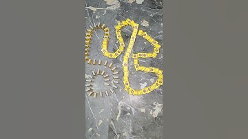 Asmr | Domino Effect Taking Over The Internet #434