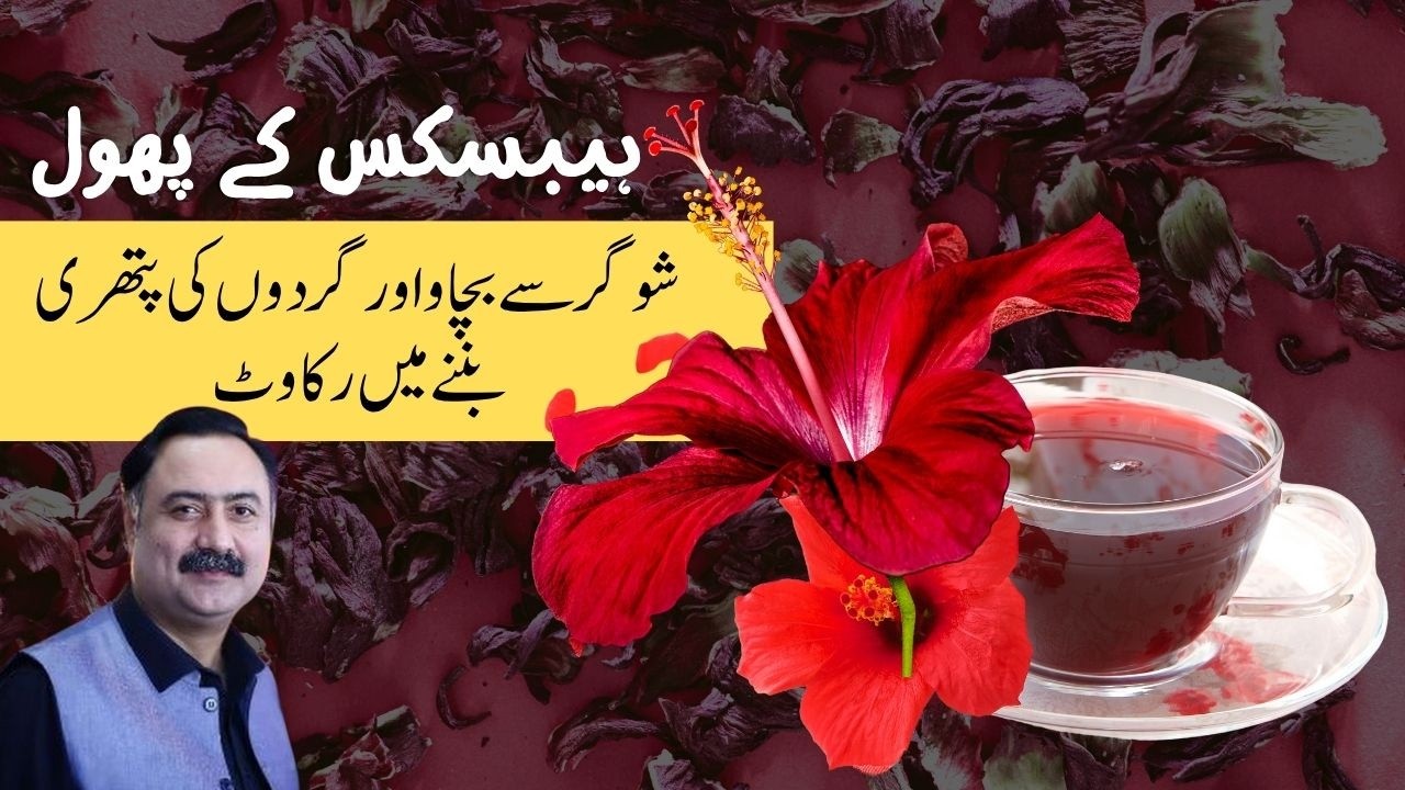 🌺 Hibiscus Flowers, Tea & Leaves: A Natural Powerhouse of Health