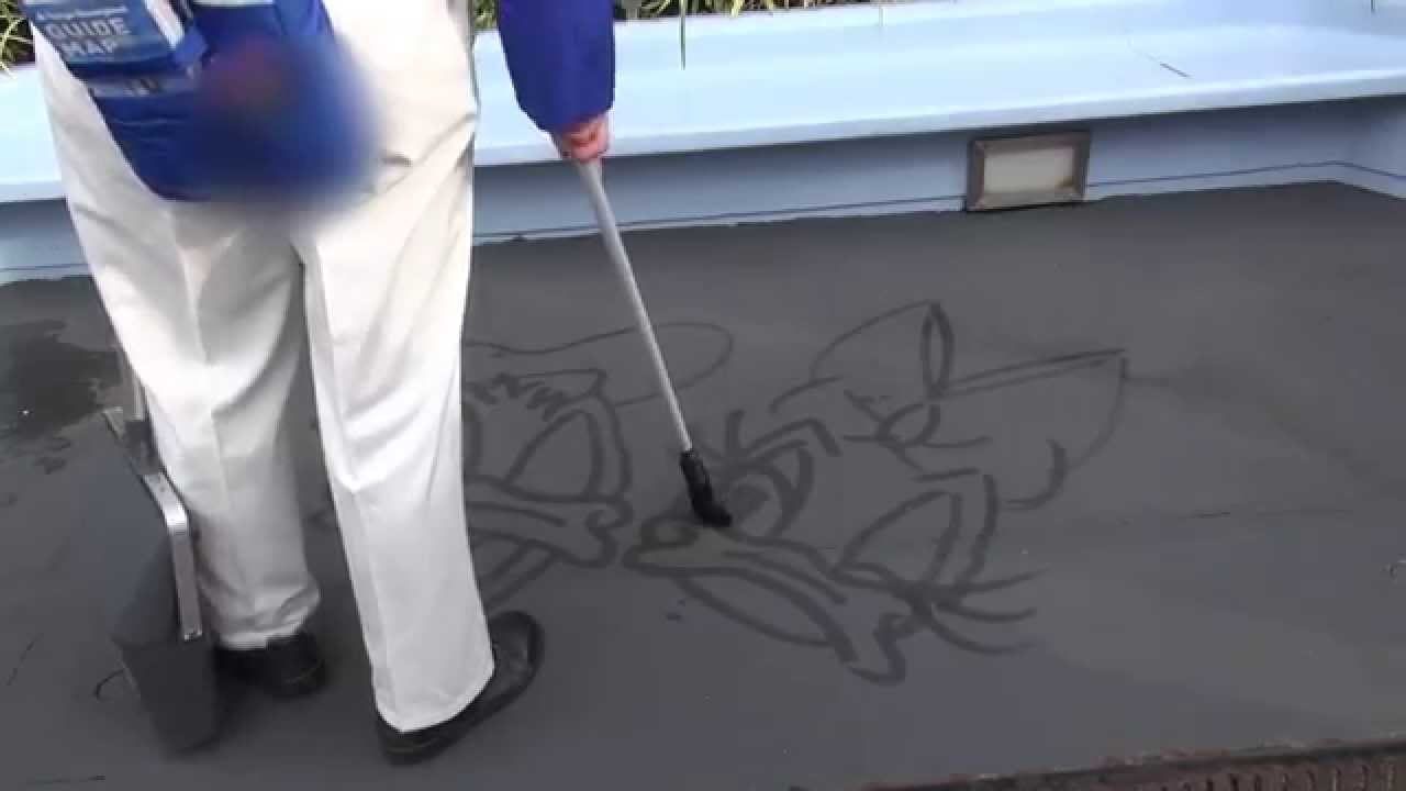 東京ディズニーランド清掃員のパフォーマンス Youtube