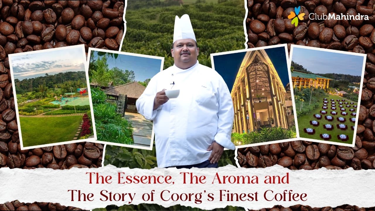 The Essence, The Aroma and The Story of Coorg’s Finest Coffee | Club Mahindra Experience