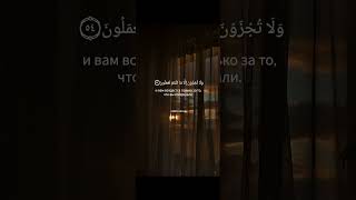 Сура Йа Син (51-57) Чтец: Саид Дубаха #ислам #shorts #islam #youtubeshorts #popular