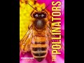 Dreamscape Explore: The Pollinators, Agents For Life | Official Trailer