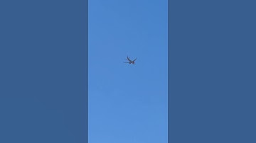 Ik wed dat je dat wenste