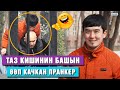 Таз кишинин башын өөп качкан пранкер