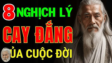 8 Nghịch Lý Cay Đắng Của Cuộc Đời  – Không Biết Sớm, Khổ Cả Đời   Triết Lý Cuộc Sống