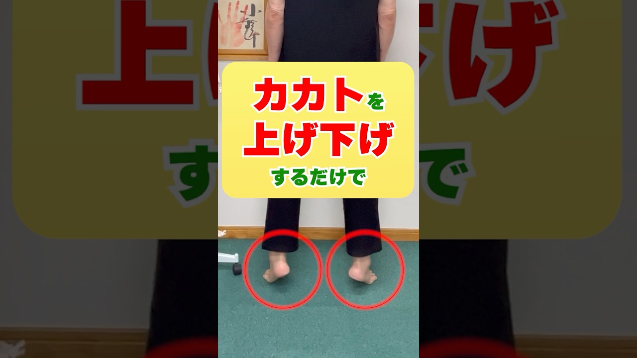 カカトを上げ下げするだけで！#健康 #整体 #トレーニング #腰痛 #反り腰