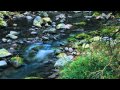 【大自然の癒し】素晴らしい自然の音で深い眠り【音楽の力】
