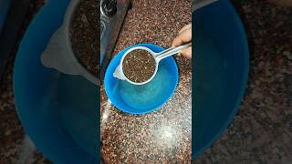 Viral Chai Patti Ki Useful Tips #Shorts #Youtube Shorts #New Tips #Kitchen Tips #Tea Hacks #fyp