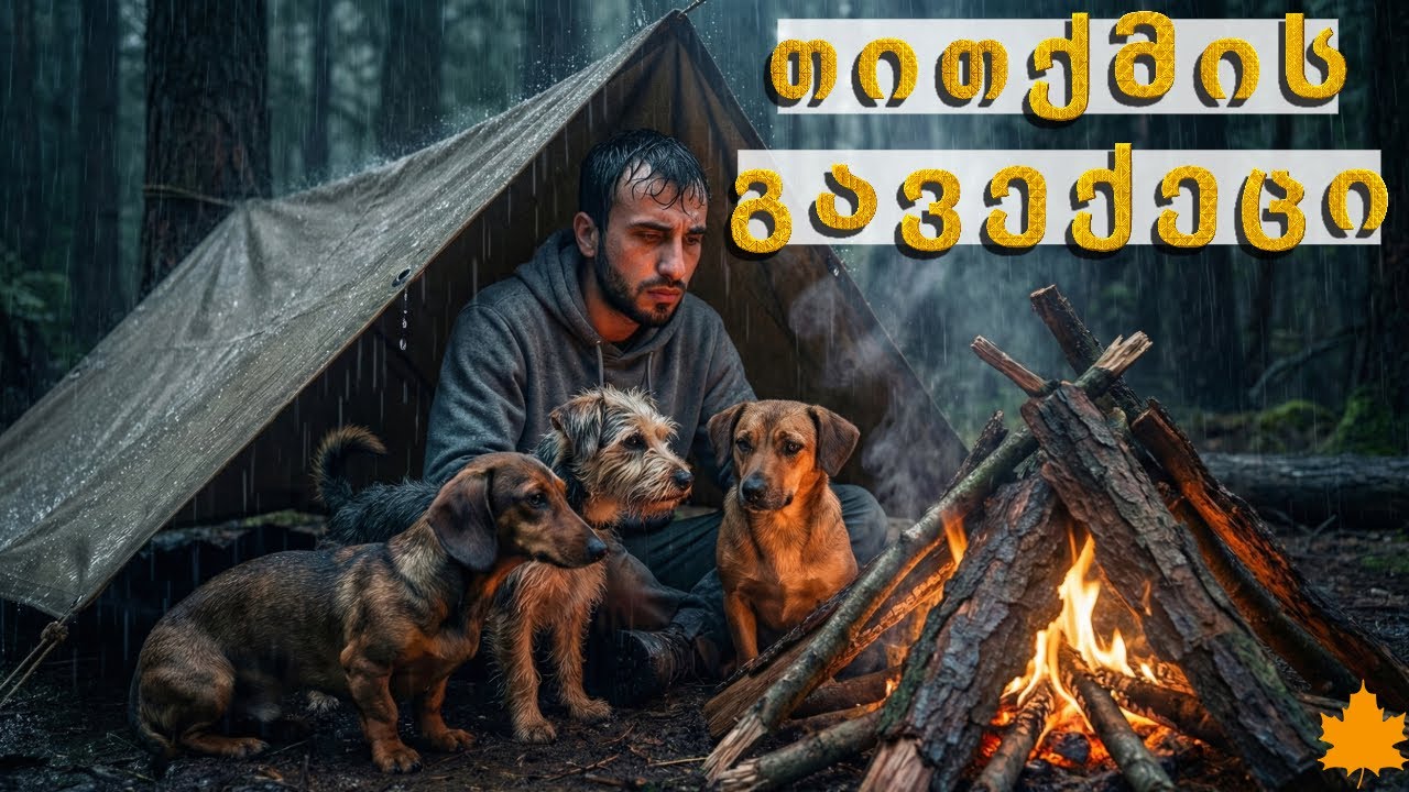 მოულოდნელი სტუმრები | გამაბრაზეს თუ გამახარეს? 🤔