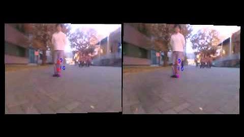 Obstacle Avoidance by Visual Stereo