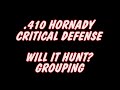 .410 GROUPS- HORNADY CRITICAL DEFNSE