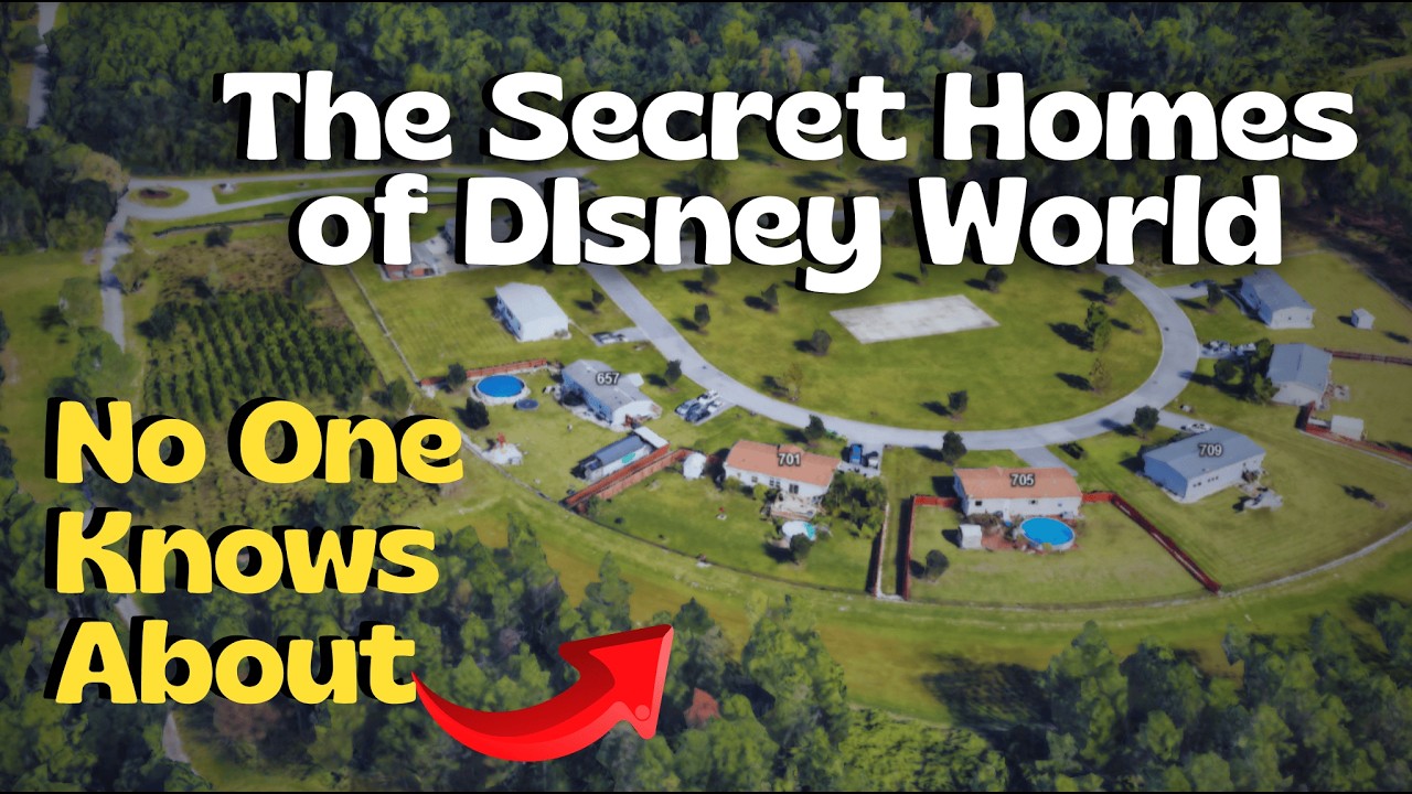 Благоустройство района Риди-Крик: подробный анализ частного правительства Диснея