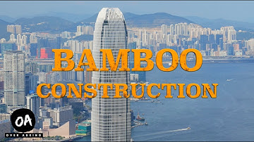 The Art of Hong Kong