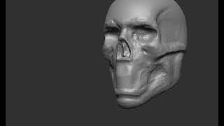Anatomical sculpting of the skull Exercise