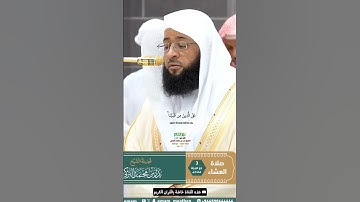لا يكلف الله نفسا إلا وسعها_سورة البقرة_من صلاة العشاء 3 ذوالحجة 1446هـ_الشيخ بدر التركي#مكة #المصحف